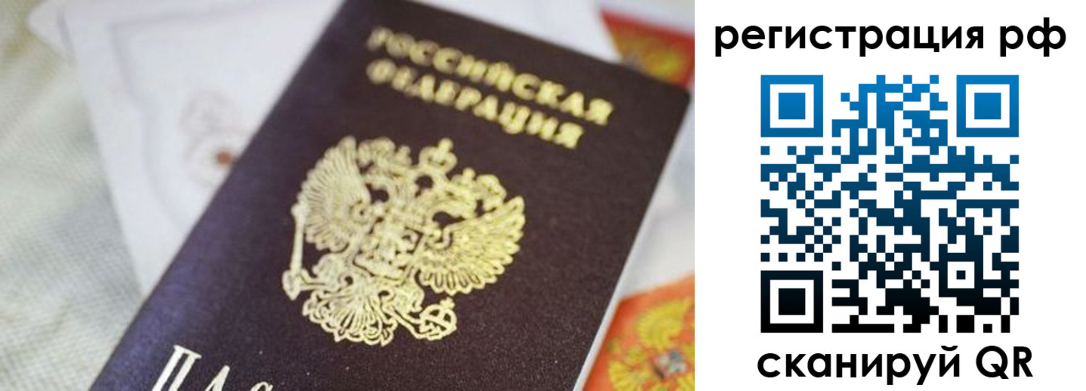 прописка гарантия в Светогорске